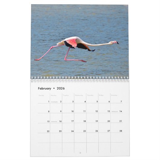 Agenda 2023-flamingos kalender (Feb 2026)
