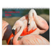 Agenda 2023-flamingos kalender (Hoes)