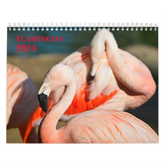 Agenda 2023-flamingos kalender (Hoes)