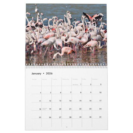 Agenda 2023-flamingos kalender (Jan 2026)