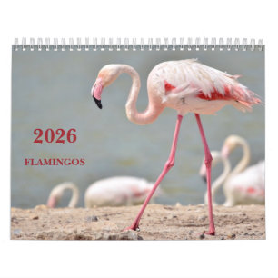 Agenda 2023-flamingos kalender