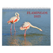 Agenda 2023 Flamingos Kalender (Hoes)