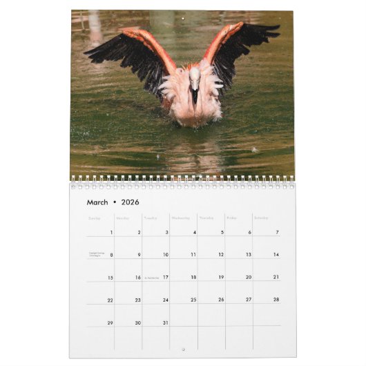 Agenda 2023 Flamingos Kalender (Mar 2026)