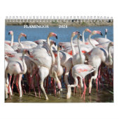 Agenda 2023 Flamingos Kalender (Hoes)