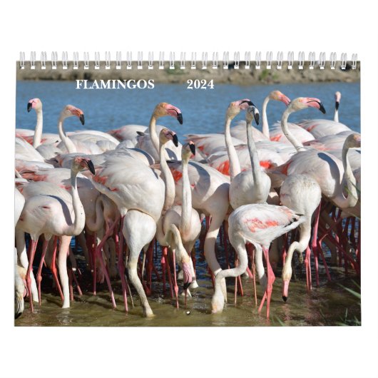 Agenda 2023 Flamingos Kalender (Hoes)