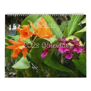 Agenda 2023 kalender