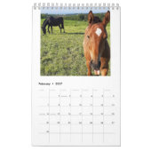 Agenda 2023 Mares and Foals Kalender (Feb 2027)