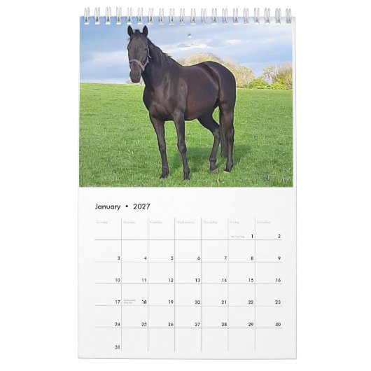 Agenda 2023 Mares and Foals Kalender (Jan 2027)