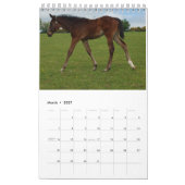 Agenda 2023 Mares and Foals Kalender (Mar 2027)