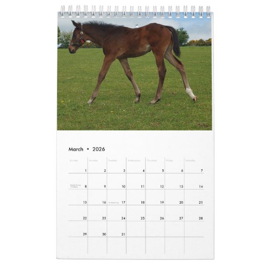 Agenda 2023 Mares and Foals Kalender (Mar 2026)