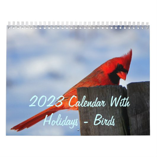 Agenda 2023 met Feestdagen - vogels Kalender (Hoes)