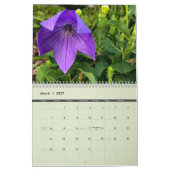 Agenda 2023 Tollerton-tuinen Kalender (Mar 2027)
