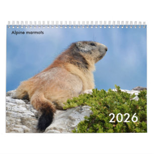 Agenda 2023 van de Alpenmarmots Kalender