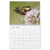 Agenda 2023 van de dieren in actie kalender (Mar 2026)