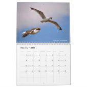 Agenda 2023 van de dieren in actie kalender (Feb 2026)