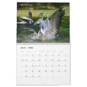 Agenda 2023 van de dieren in actie kalender (Mar 2026)