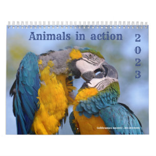 Agenda 2023 van de dieren in actie kalender
