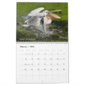 Agenda 2023 van de dieren in actie kalender (Feb 2026)