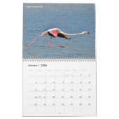 Agenda 2023 van de dieren in actie kalender (Jan 2026)