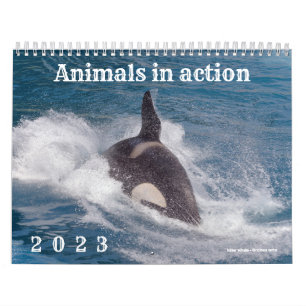 Agenda 2023 van de dieren in actie kalender