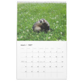 Agenda 2023 voor fretten kalender (Mar 2027)