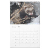 Agenda 2023 voor fretten kalender (Jan 2027)