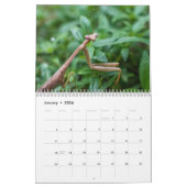 Agenda 2023 voor tuininsecten kalender (Jan 2026)
