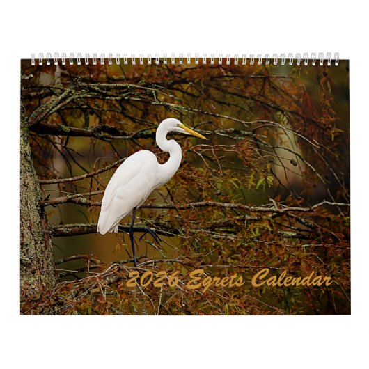 Agenda 2025 kalender (Hoes)