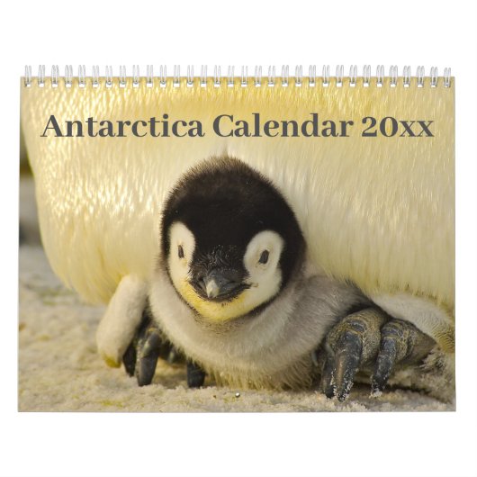 Agenda 20xx - Antarctica Kalender (Hoes)