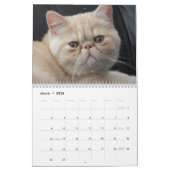 Agenda 20xx - Kute Kittens en Katten Kalender (Mar 2026)