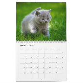 Agenda 20xx - Kute Kittens en Katten Kalender (Feb 2026)