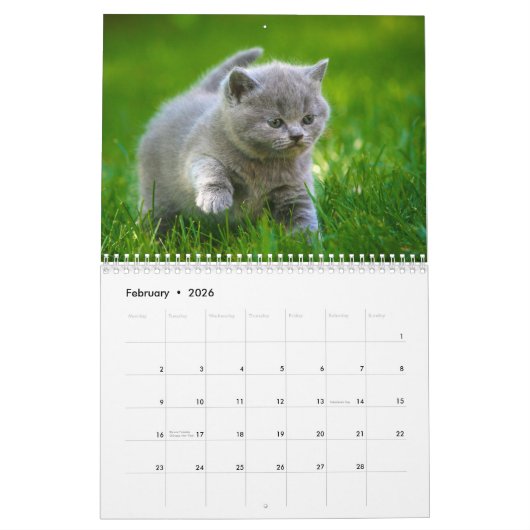 Agenda 20xx - Kute Kittens en Katten Kalender (Feb 2026)
