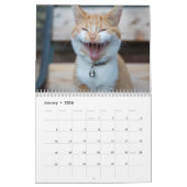 Agenda 20xx - Kute Kittens en Katten Kalender (Jan 2026)