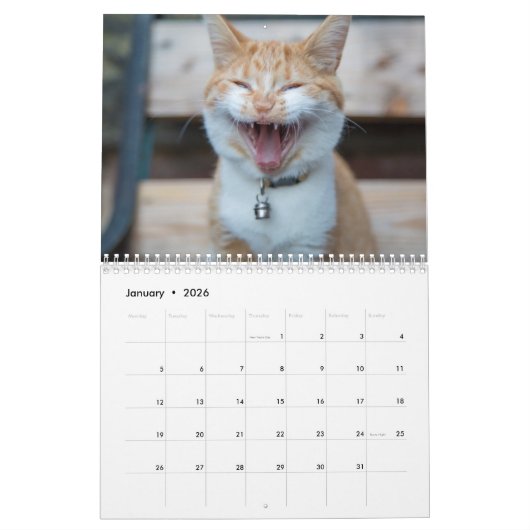 Agenda 20xx - Kute Kittens en Katten Kalender (Jan 2026)
