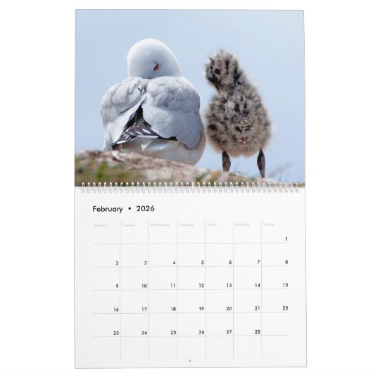 Agenda 20xx - Nieuw-Zeeland Kalender (Feb 2026)