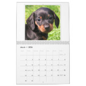 Agenda 20xx - Puppies en honden Kalender (Mar 2026)