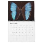 Agenda 20xx - Zuid-Amerika Kalender (Feb 2026)