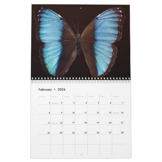 Agenda 20xx - Zuid-Amerika Kalender (Feb 2026)