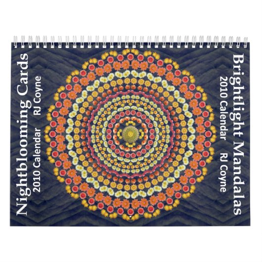 Agenda 3 2010 kalender (Hoes)