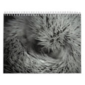 Agenda 3 2013 kalender (Hoes)