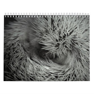 Agenda 3 2013 kalender