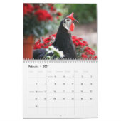 Agenda 3: De kuikens van de kip Kalender (Feb 2027)