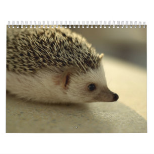 Agenda 4 2013 kalender