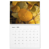 Agenda "A Year of Autumn Colors" Kalender (Mar 2026)