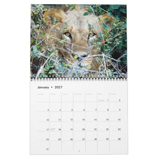 Agenda - Afrika op Safari Kalender (Jan 2027)