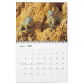 Agenda - Afrika op Safari Kalender (Mar 2027)