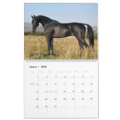 Agenda. Akhal-teke HORSES. 2017 Kalender (Mar 2026)
