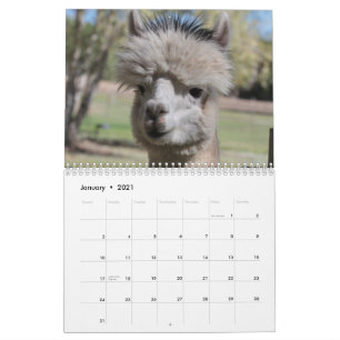 Agenda Alpaca 2021 Kalender