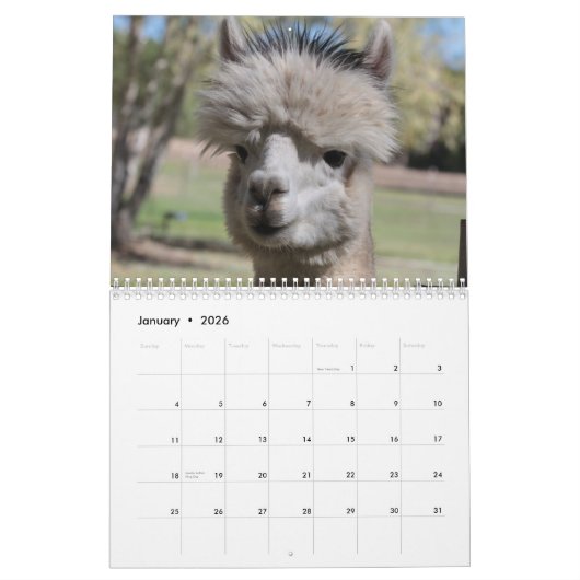 Agenda Alpaca 2021 Kalender (Jan 2026)
