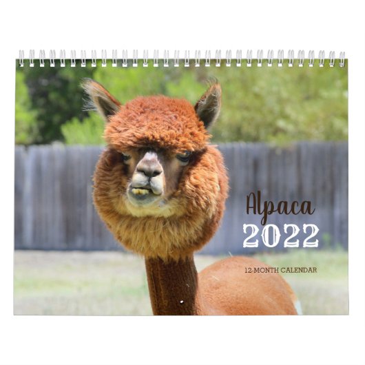 Agenda Alpaca 2022 Kalender (Hoes)